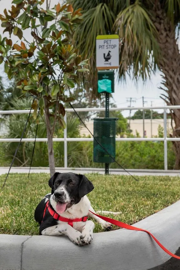Home2 Suites By Hilton Tampa Westshore Airport, Fl